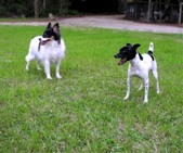 Enlarge photo 6