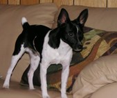 JACK