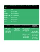 Enlarge HTML Document 19
