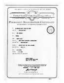 Enlarge PDF 6