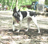 Enlarge photo 14