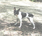 Enlarge photo 13