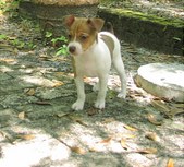 Enlarge photo 6