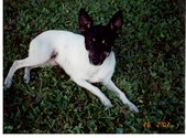 Enlarge photo 23