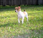 Enlarge photo 83