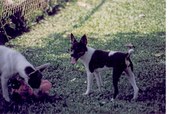 Enlarge photo 59