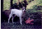 Enlarge photo 51