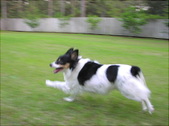 Enlarge photo 21