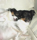 Enlarge photo 17