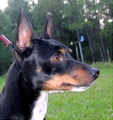 Enlarge photo 39