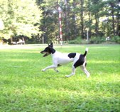Enlarge photo 98