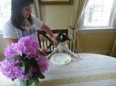 Enlarge photo 30