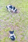 Enlarge photo 37