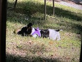 Enlarge photo 3