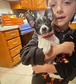 Enlarge photo 9
