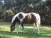 Enlarge photo 13
