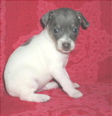 Enlarge photo 22