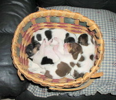 Enlarge photo 38