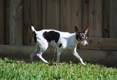 Enlarge photo 8