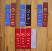 UKC SHOW - CLEARWATER, FL - 8/13-14