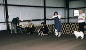 Enlarge photo 5