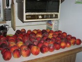 Enlarge photo 46