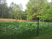 Enlarge photo 28