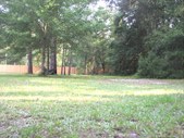 Enlarge photo 37
