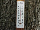 Enlarge photo 58