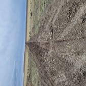 Enlarge photo 53