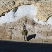 Enlarge photo 23