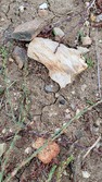 Enlarge photo 47