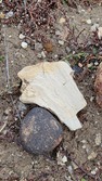 Enlarge photo 52