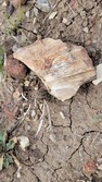 Enlarge photo 50