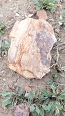 Enlarge photo 56