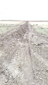 Enlarge photo 54