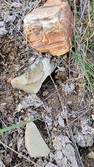 Enlarge photo 58