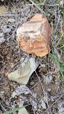 Enlarge photo 57