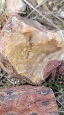 Enlarge photo 63