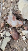 Enlarge photo 65