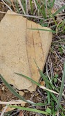 Enlarge photo 41