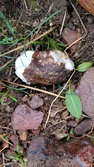 Enlarge photo 33