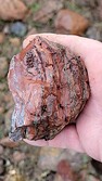 Enlarge photo 32