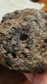 Enlarge photo 29