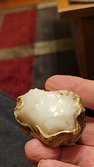 Enlarge photo 30