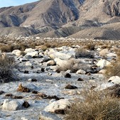 Enlarge photo 22