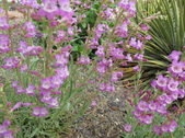 Enlarge photo 1