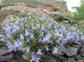 Enlarge photo 12