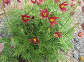 Enlarge photo 23