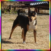 Enlarge photo 12